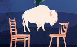 Illustration de la justice: un bison entre deux chaises