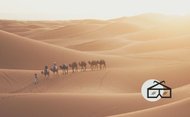 Como en una película: Buscadores de Dios. Texto para rezar en Navidad y Epifanía. Los magos dejaron atrás muchas cosas para buscar al Rey de los judíos: hogar, amigos, sus propias seguridades… «postrándose le adoraron» (Mt 2,11).