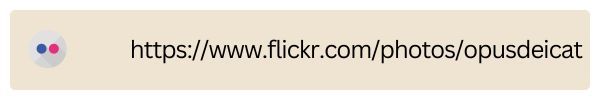 flickr