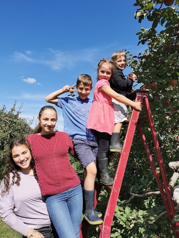 5 enfants de Marjorie dans l'escabeau dans un champ de pommiers; du plus petit en haut au plus grand en bas.