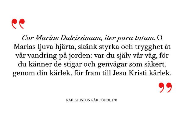 Text Cor Mariae Dulcissimum