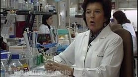 Guiones de charlas sobre temas de actualidad: el origen del hombre, cuestiones de bioética, los cuidados paliativos y la ética cristiana.