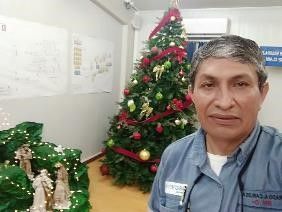 El árbol y el nacimiento en una de las oficinas