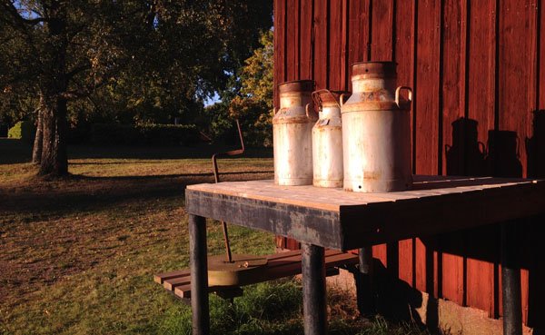 Mjölkkannor på ett bord