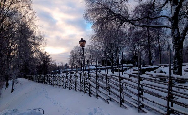 Vinter landskap. En väg bredvid en gärdsgård.