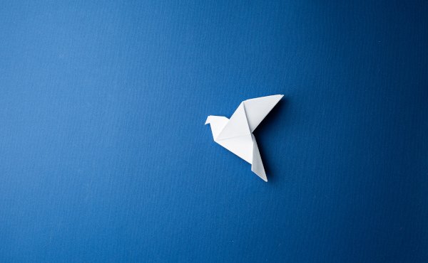 Meditación sobre la pz