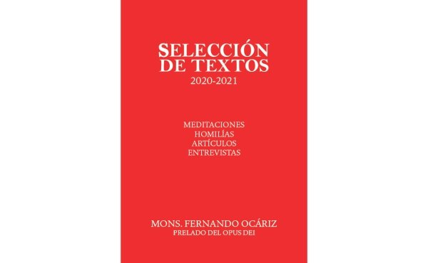Segundo libro electrónico con algunas intervenciones del prelado durante el 2020 y 2021 en distintos medios de comunicación, así como una selección de homilías y meditaciones.