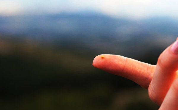 Ein kleines Senfkorn liegt auf einem Finger