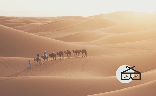 Como en una película: Buscadores de Dios. Texto para rezar en Navidad y Epifanía. Los magos dejaron atrás muchas cosas para buscar al Rey de los judíos: hogar, amigos, sus propias seguridades… «postrándose le adoraron» (Mt 2,11).