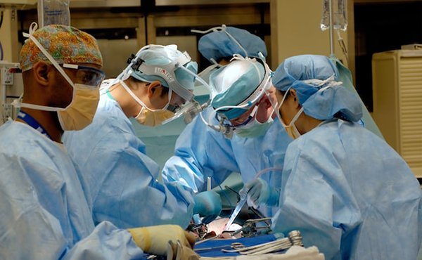 Foto de National Cancer Institute en Unsplash