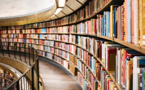 Susan Yin by unplash