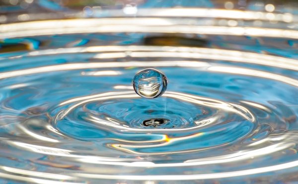 La vocación al Opus Dei como numeraria y numerario: agrandar el corazón para transmitir la vida de Dios a los miembros de la Obra y a quienes comparten con ellos un trecho del camino hacia el cielo.