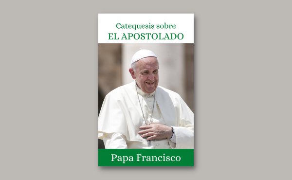 Libro electrónico con la catequesis sobre el apostolado: La pasión por la evangelización