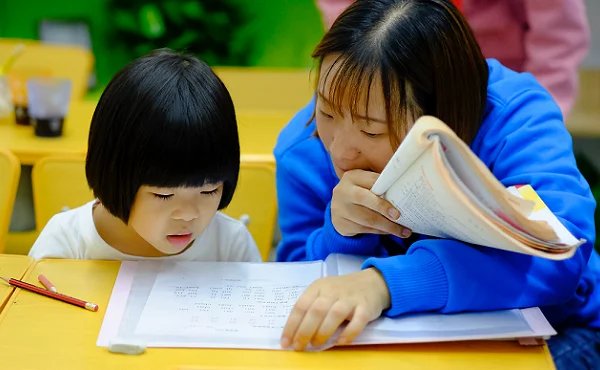 Wat is professionele vorming?