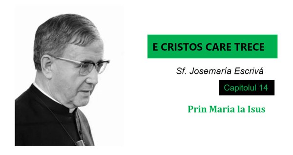 Por María hacia Jesús | Homilía sobre la Virgen María, con motivo del mes de mayo