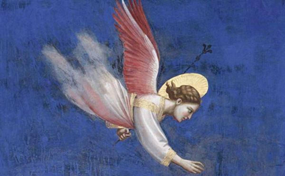 天使是什么 主业团 天使是什么 主业团